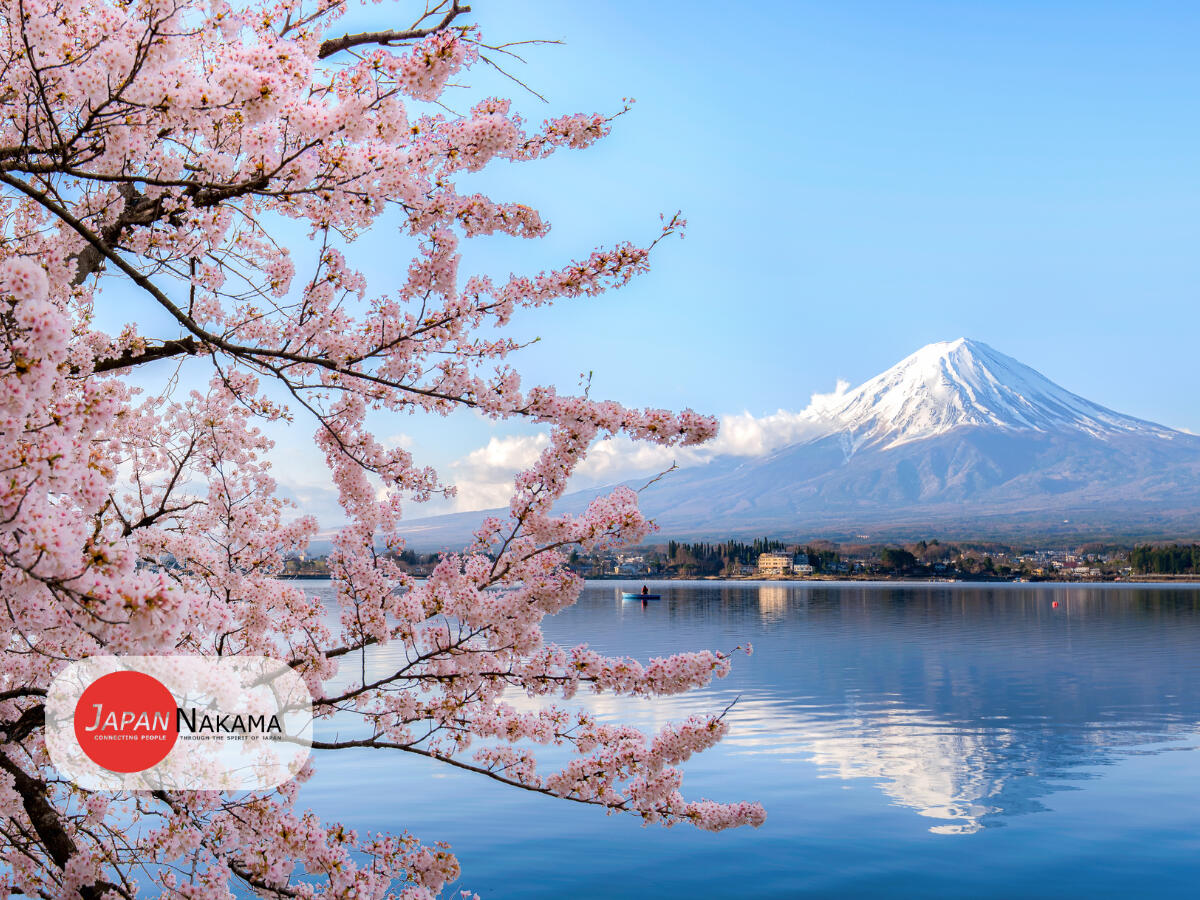 Japanese Culture, Travel, and Lifestyle